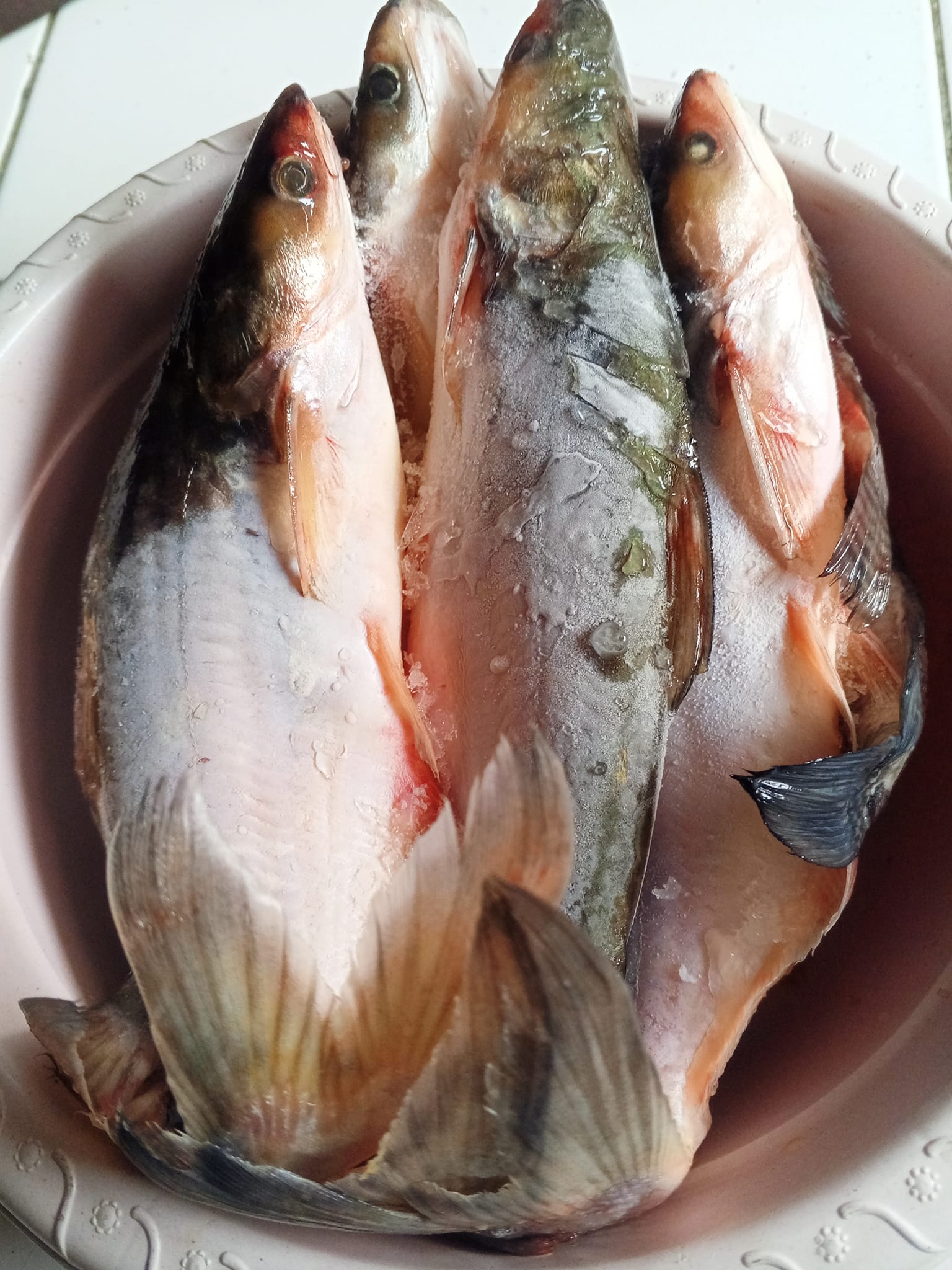 Patin of Aba dola3